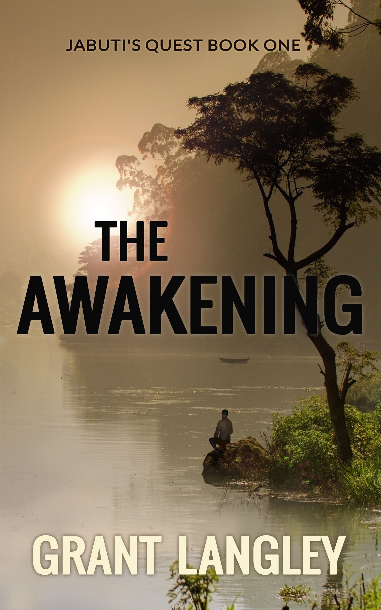 the awakening - cover - 5x8_bw_250pages_whitepaper - 2018-11-04 quality high1121647222..jpg